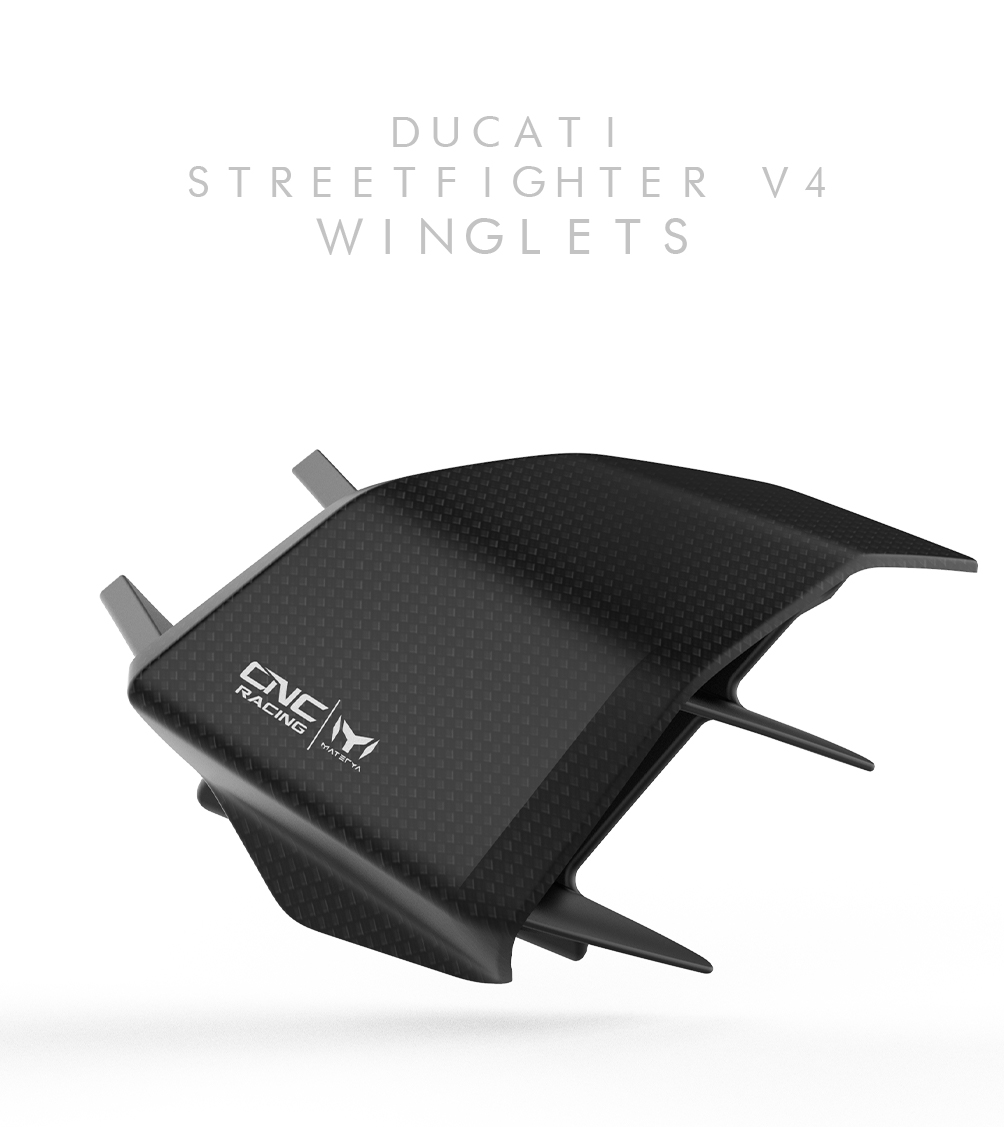 V4_Winglets-1-1